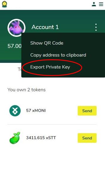 Image_16-_Export_Private_Key.JPG.jpg